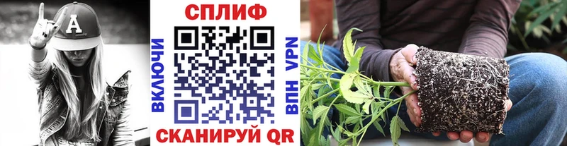 Где купить Няндома Alpha-PVP  Меф  Cocaine 