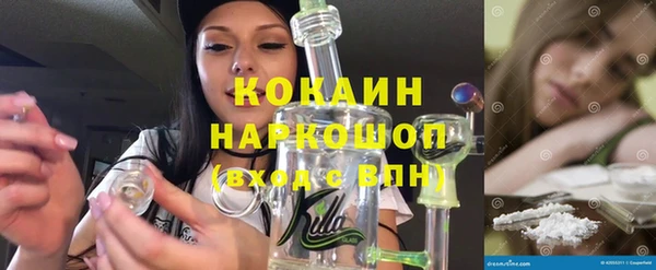 круглые Гусев