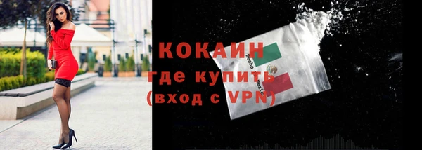 круглые Гусев