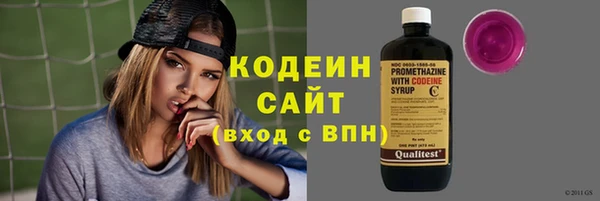 круглые Гусев