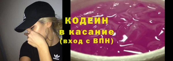 круглые Гусев