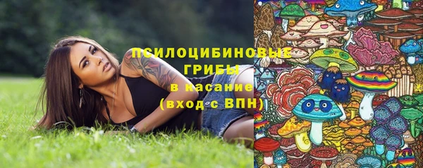 марки lsd Гусиноозёрск