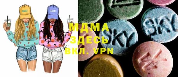 круглые Гусев