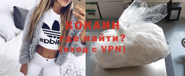круглые Гусев