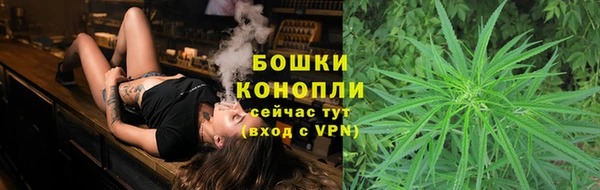 круглые Гусев