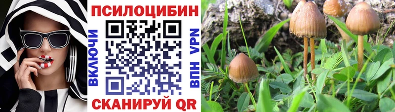 Галлюциногенные грибы прущие грибы  Няндома 